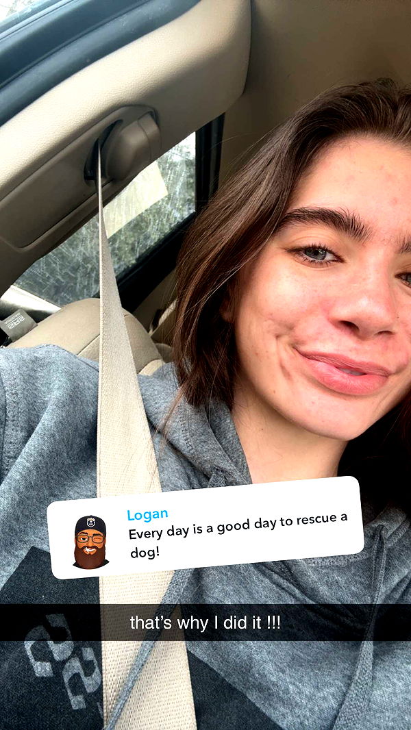 mckinley_1 image ~ Altpins