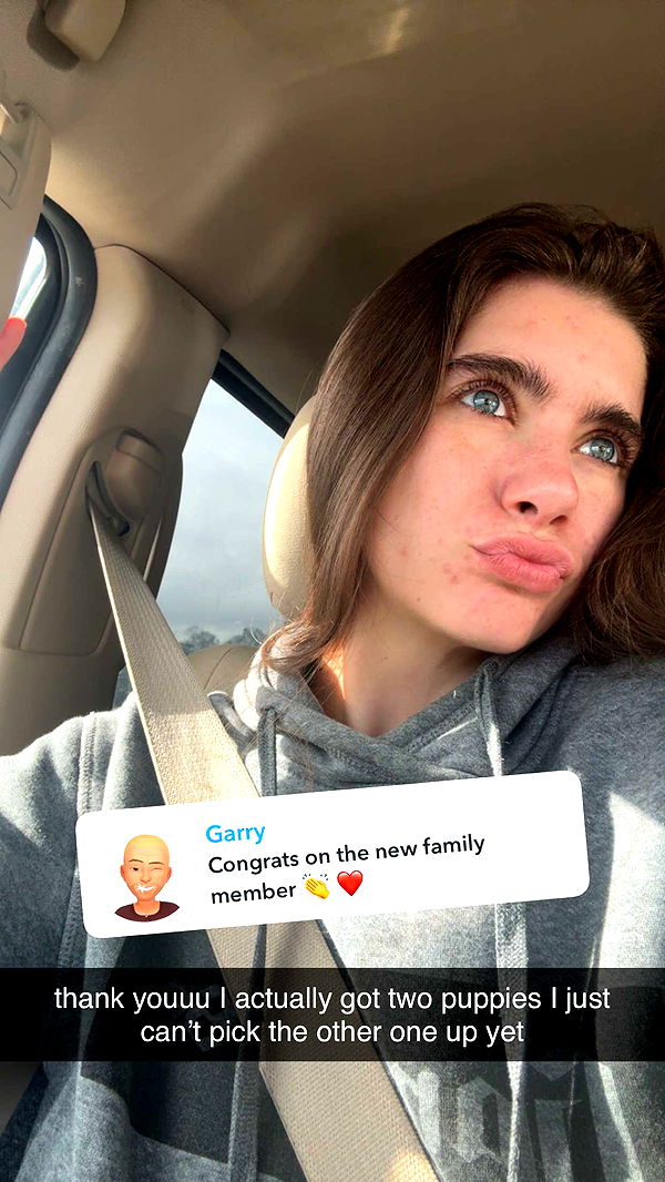 mckinley_1 image ~ Altpins