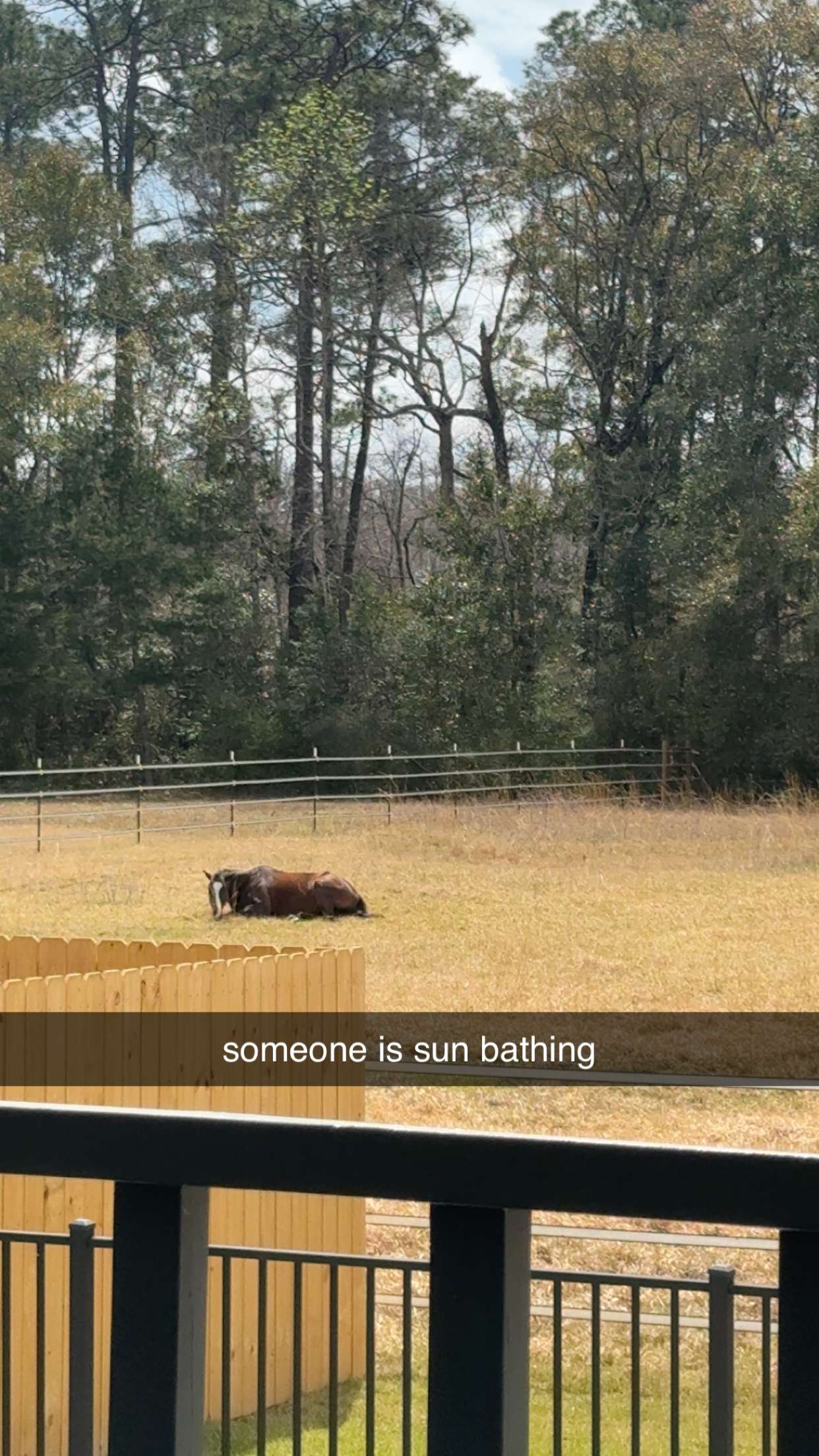 mckinley_1 snapchat image archive image