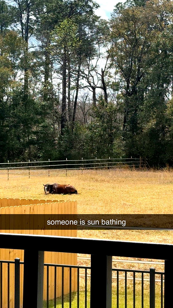 mckinley_1 image ~ Altpins