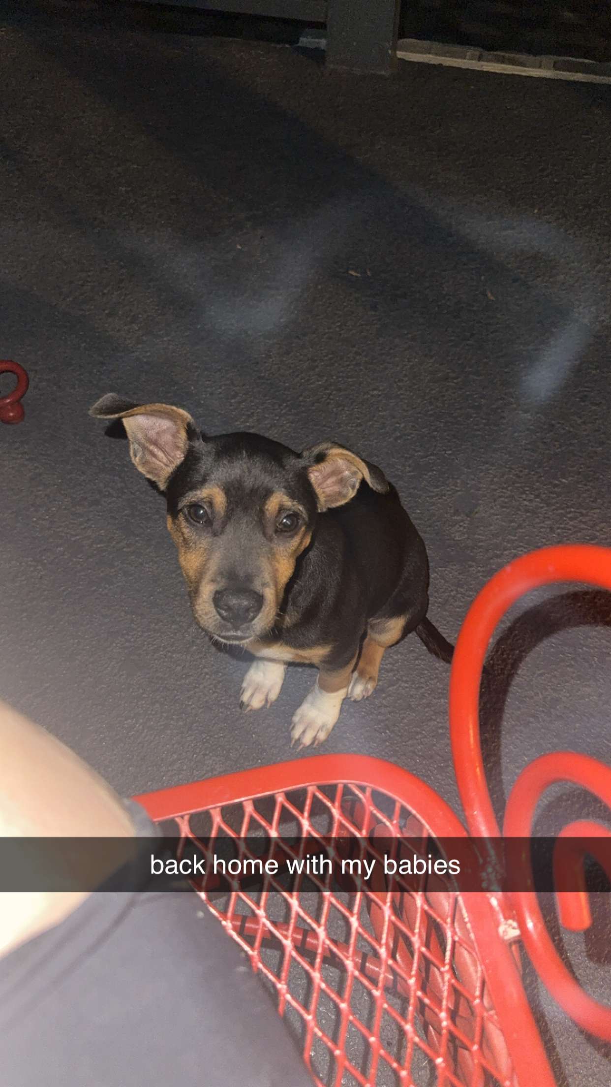 mckinley_1 snapchat image archive image