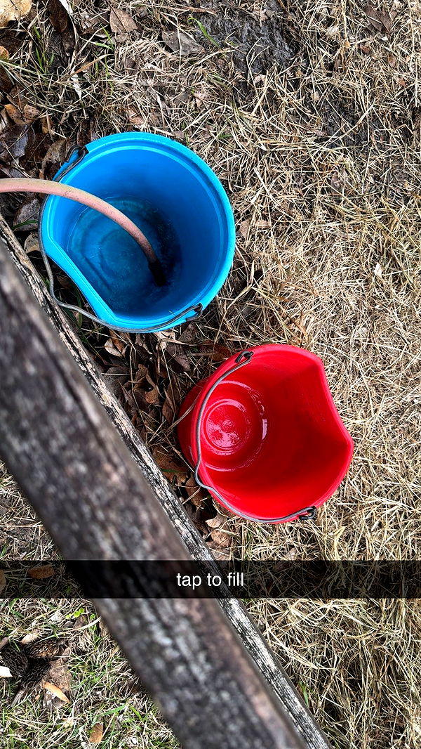 mckinley_1 image ~ Altpins