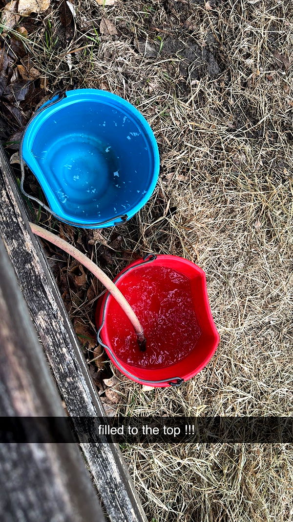 mckinley_1 image ~ Altpins