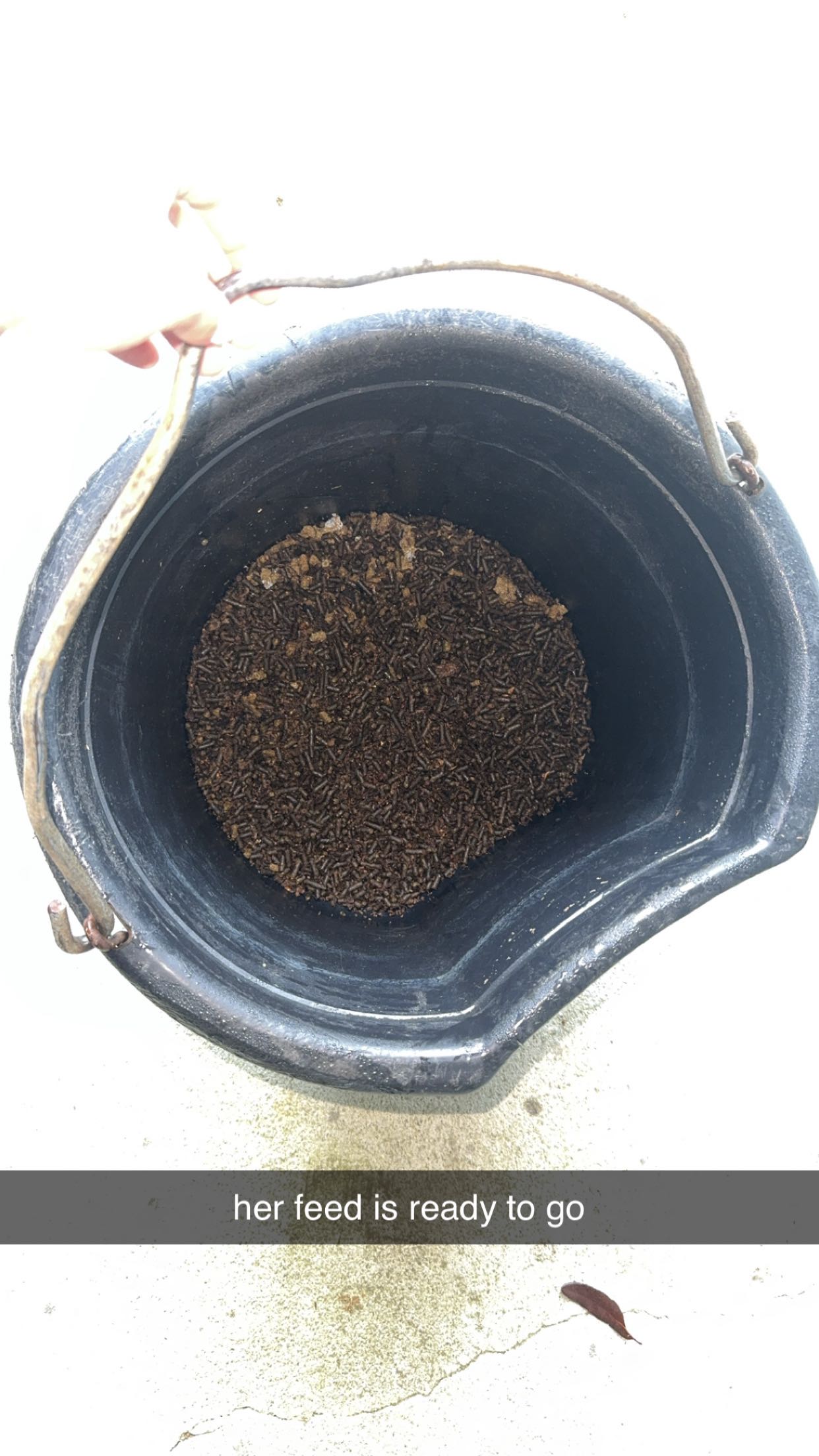 mckinley_1 snapchat image archive image