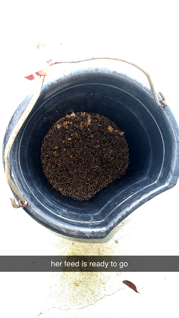 mckinley_1 image ~ Altpins