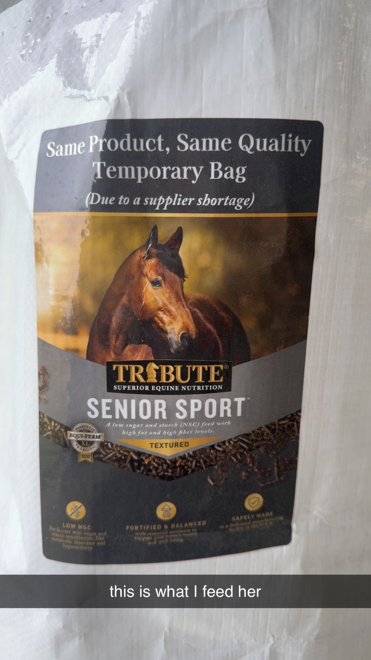 mckinley_1 snapchat image archive image