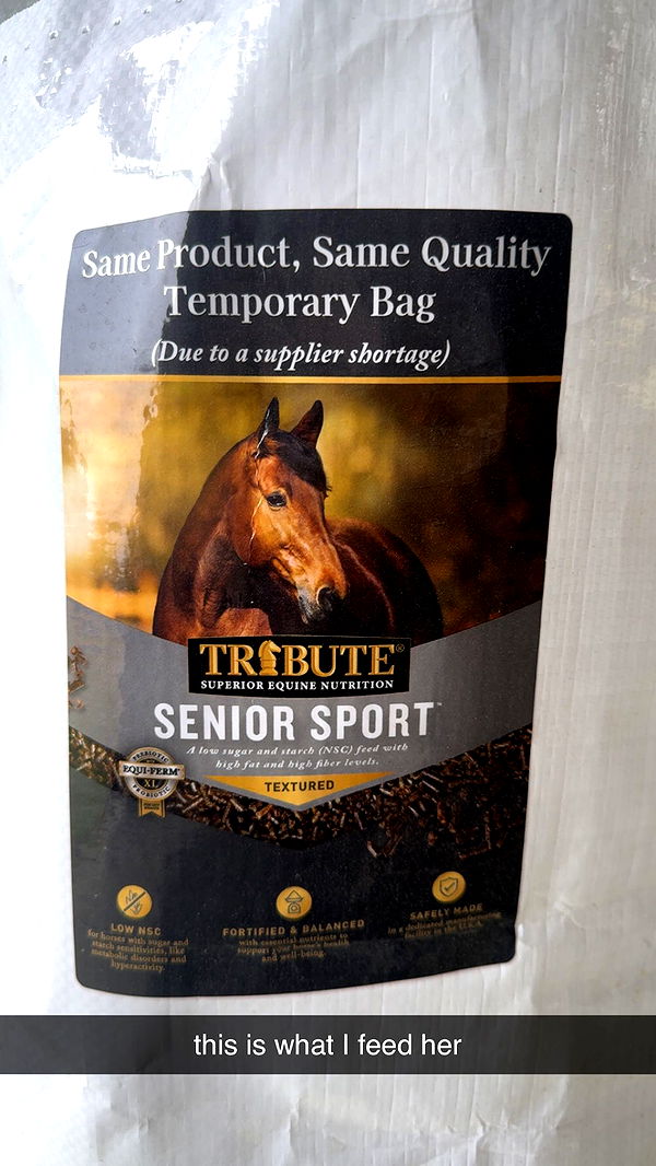 mckinley_1 image ~ Altpins