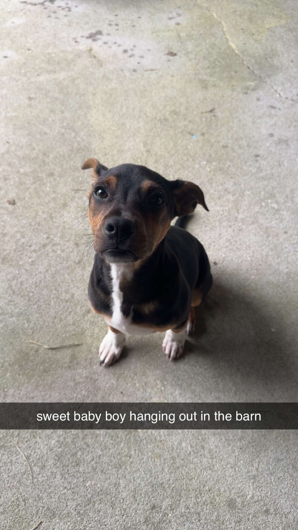 mckinley_1 snapchat image archive image