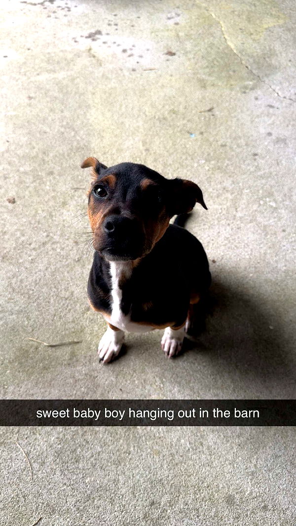 mckinley_1 image ~ Altpins