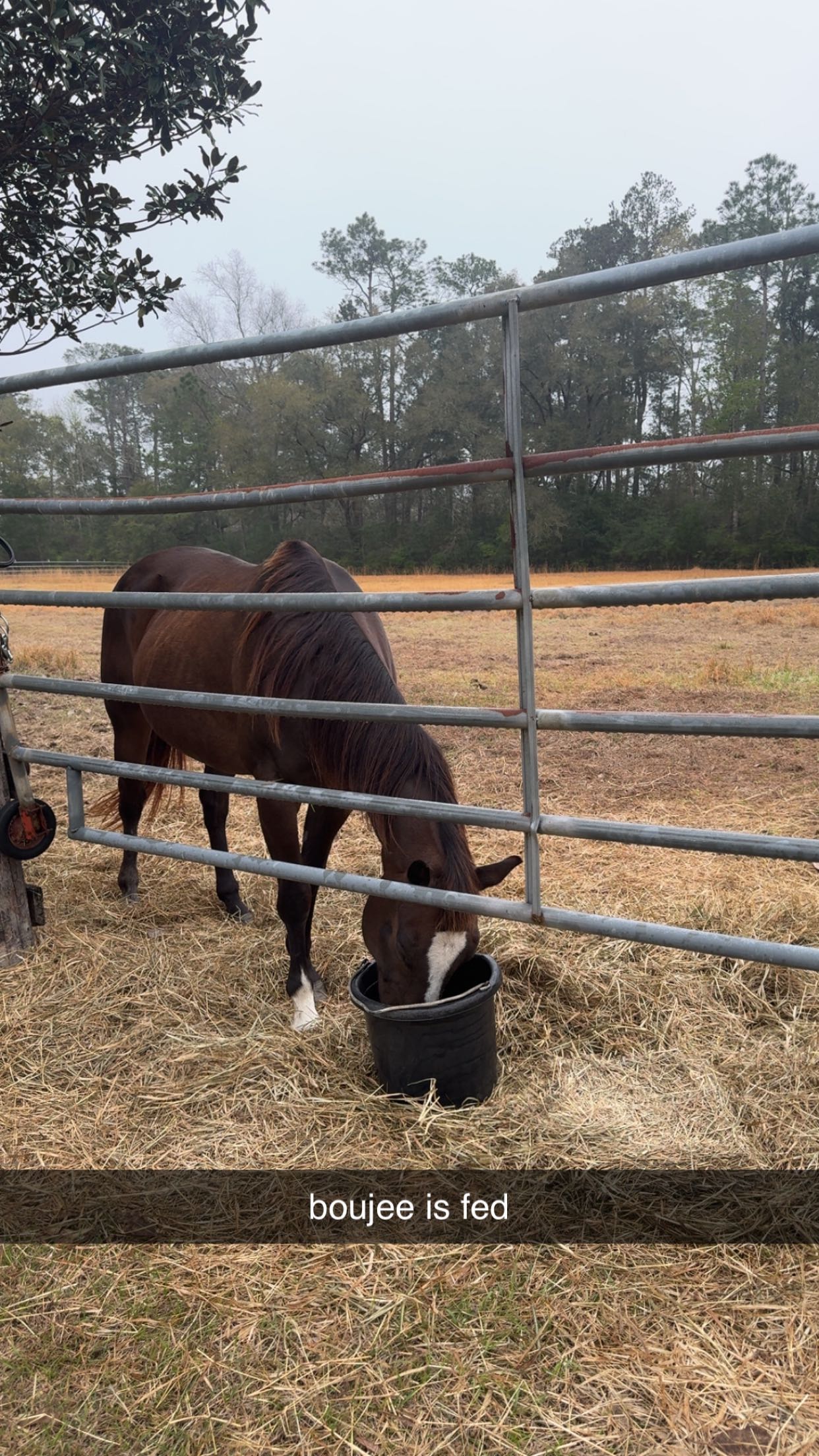 mckinley_1 snapchat image archive image