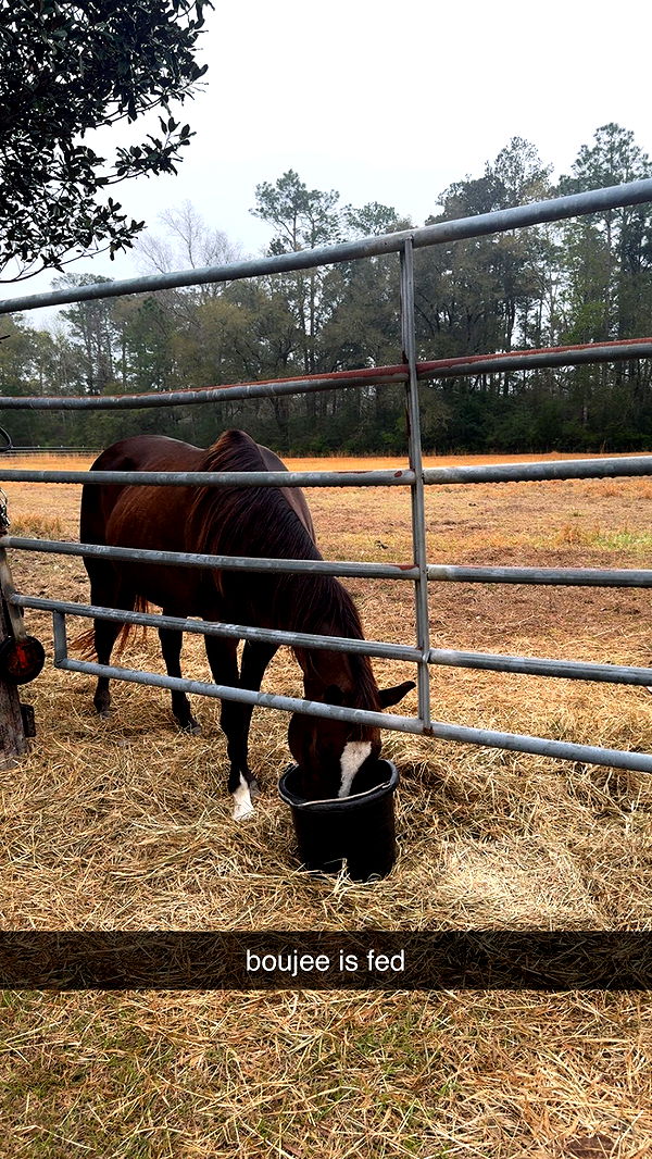 mckinley_1 image ~ Altpins