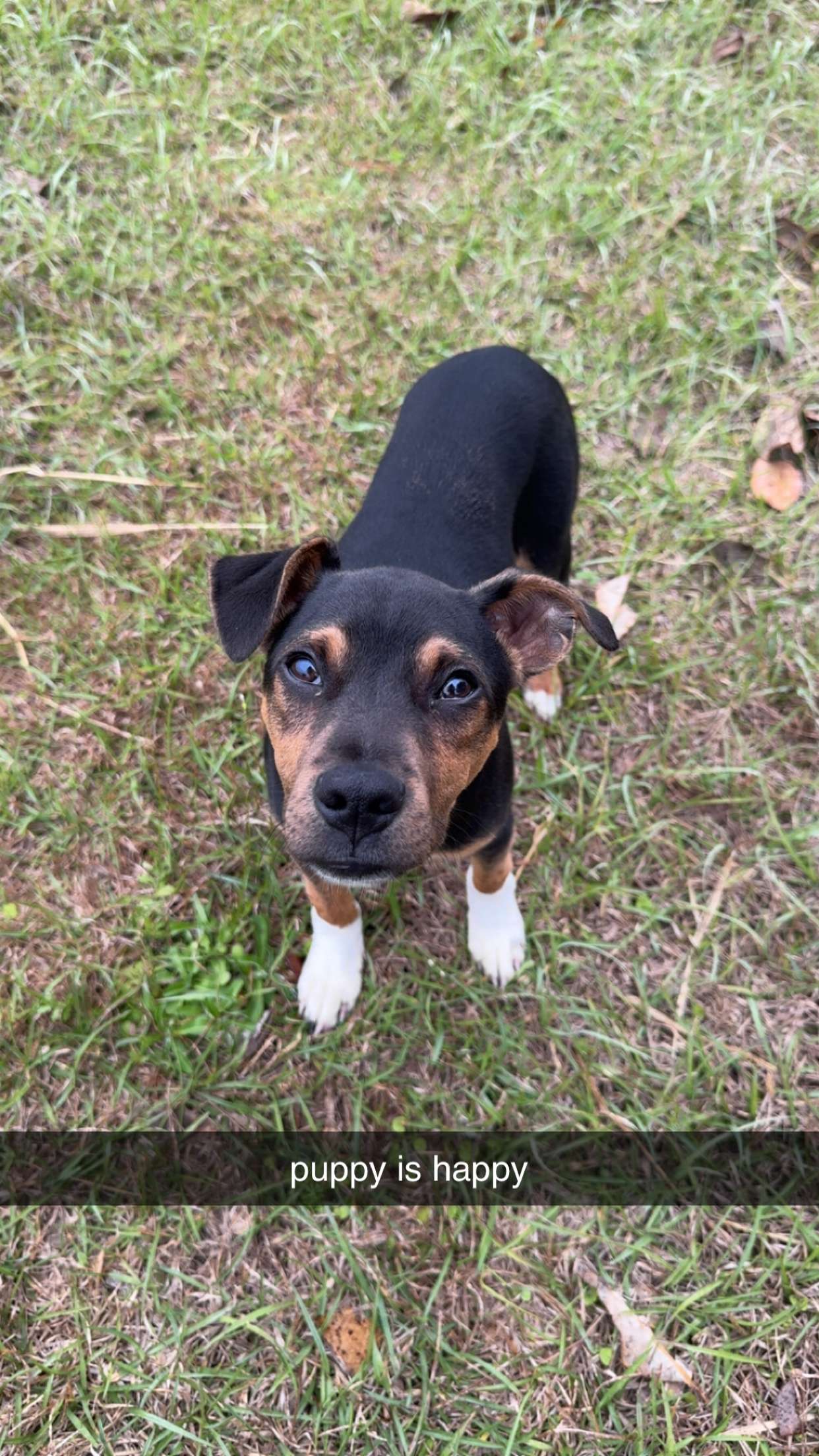 mckinley_1 snapchat image archive image