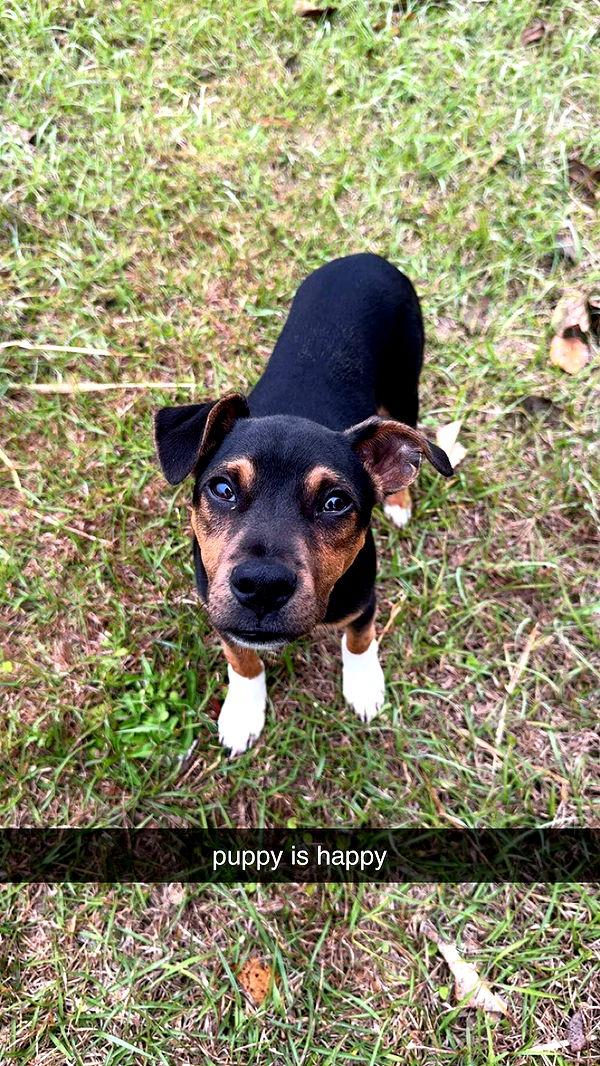 mckinley_1 image ~ Altpins