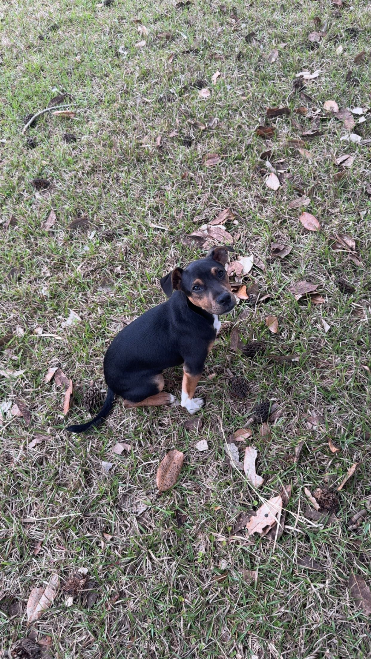 mckinley_1 snapchat image archive image