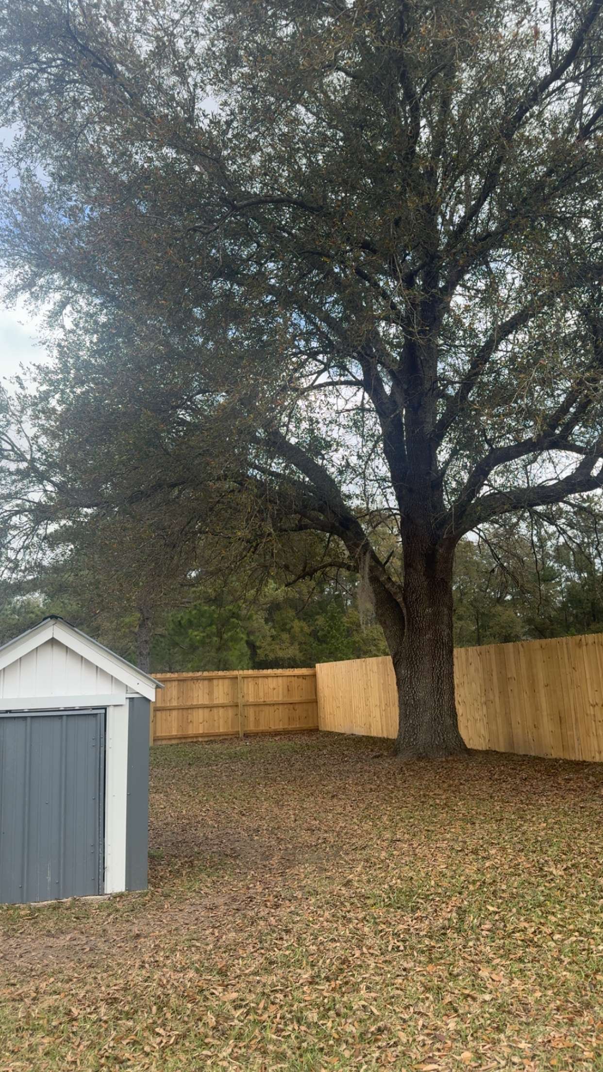 mckinley_1 snapchat image archive image