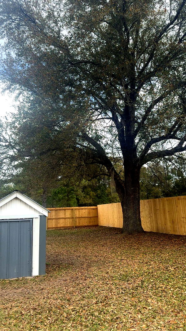 mckinley_1 image ~ Altpins