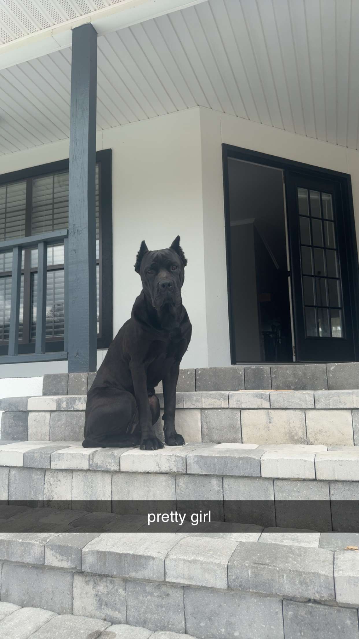 mckinley_1 snapchat image archive image