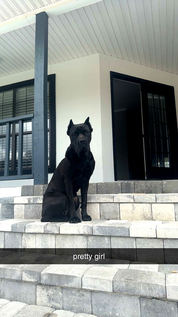 mckinley_1 image ~ Altpins