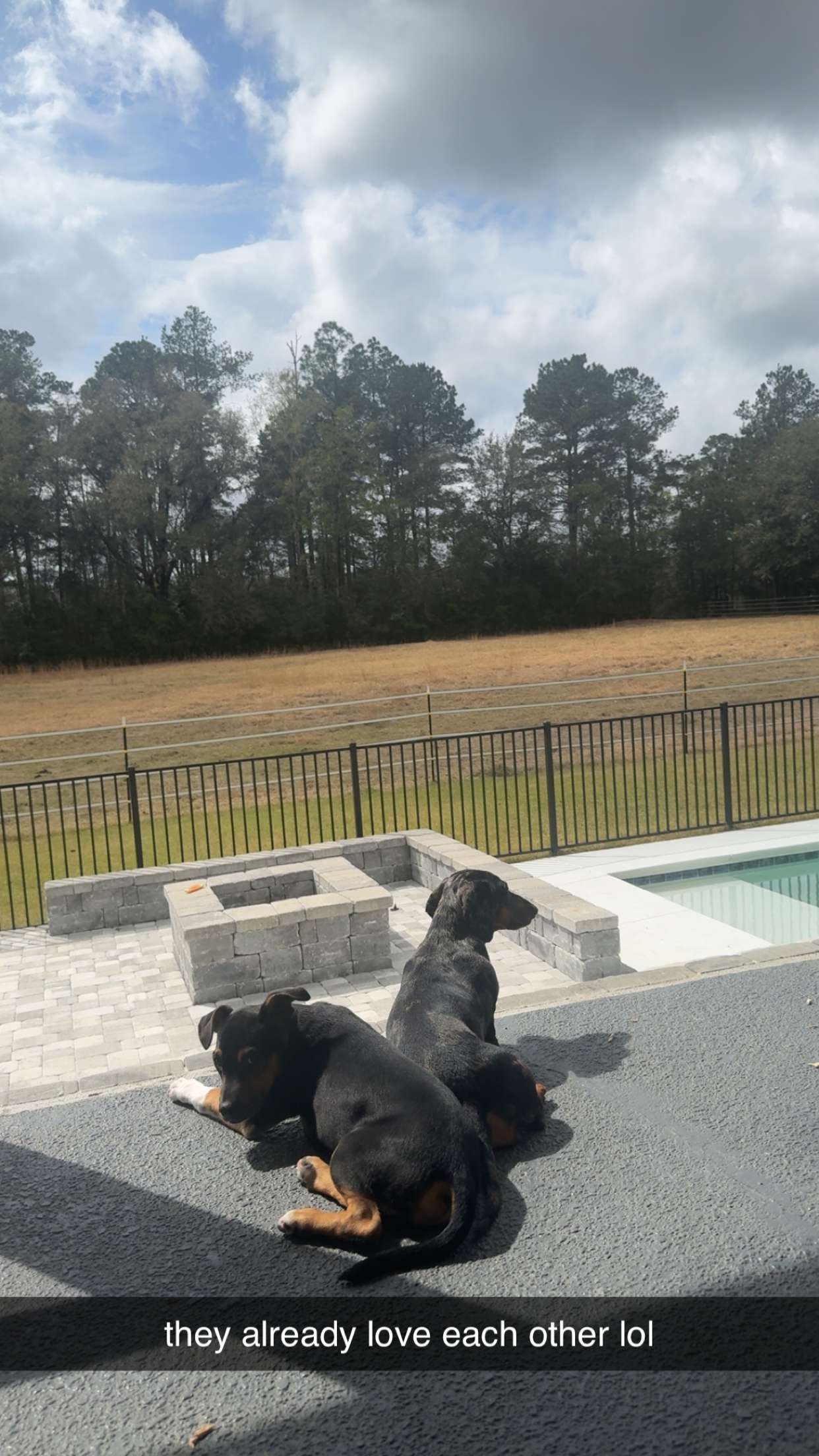 mckinley_1 snapchat image archive image