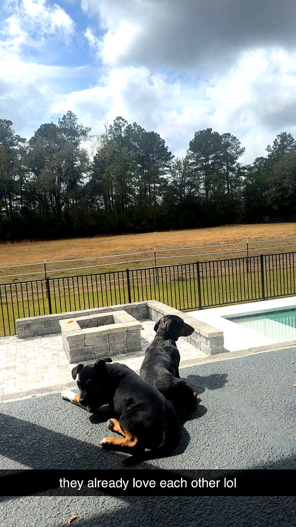 mckinley_1 image ~ Altpins