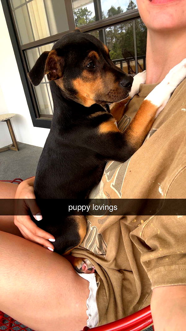 mckinley_1 image ~ Altpins