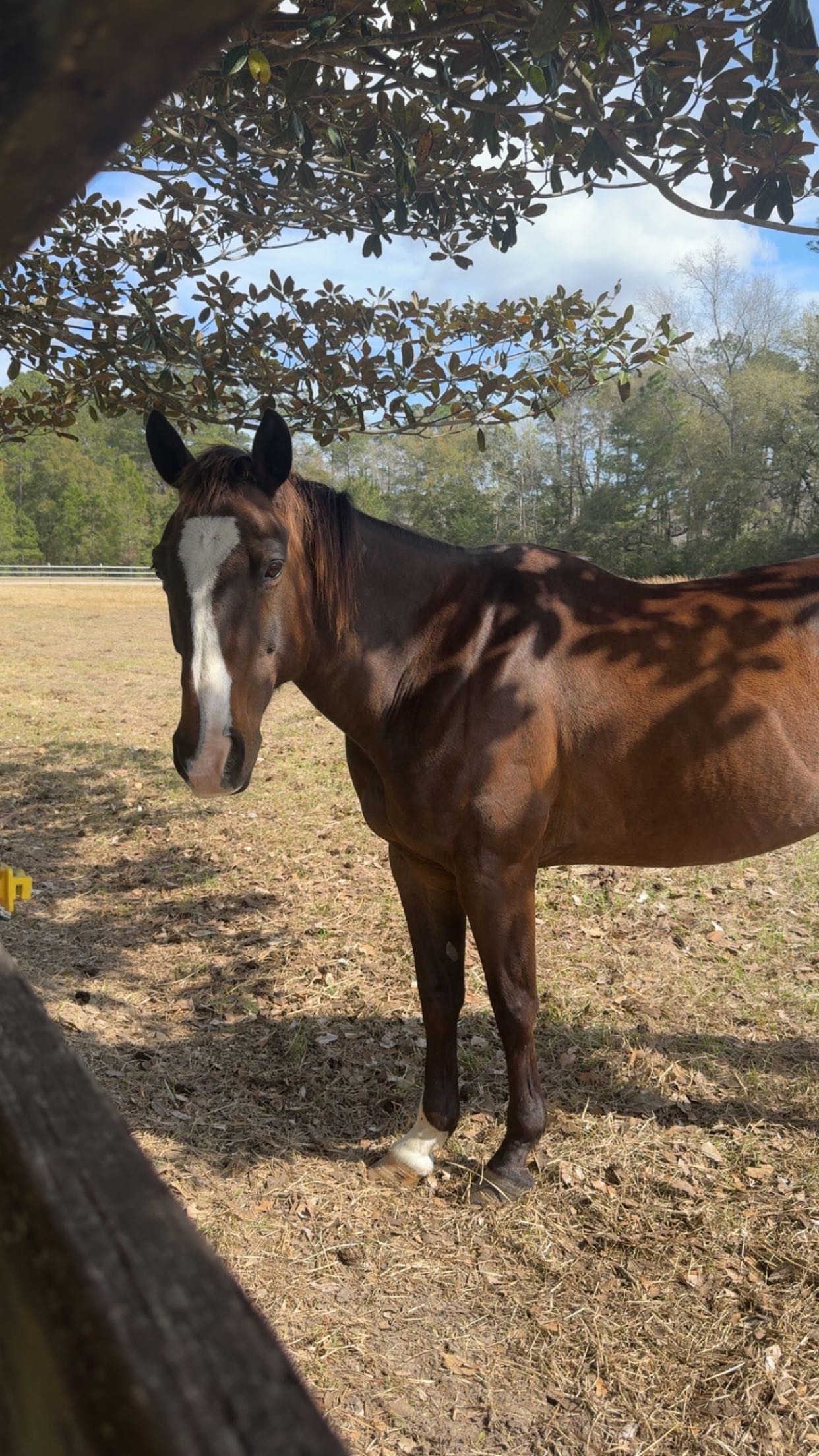 mckinley_1 snapchat image archive image