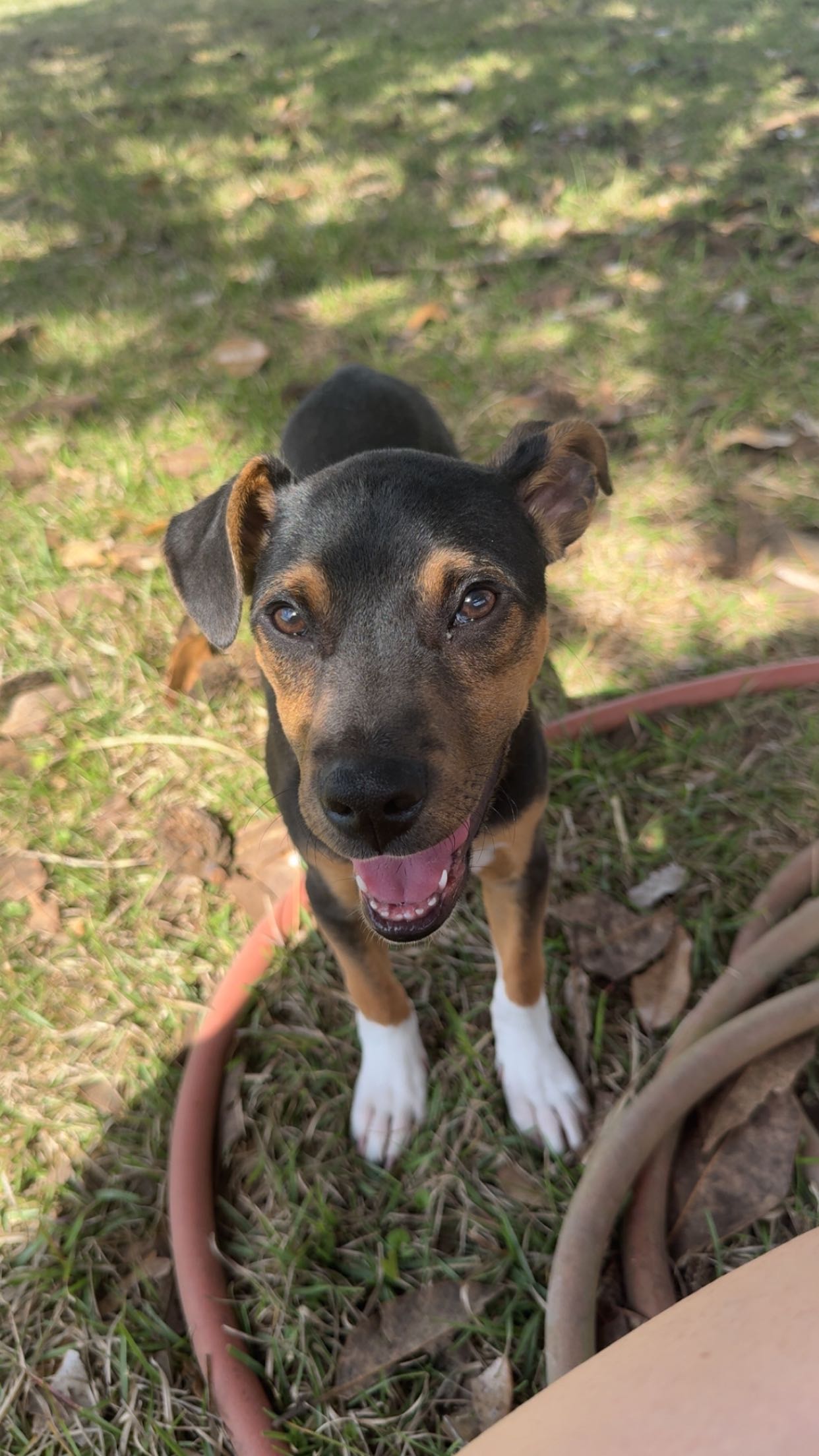 mckinley_1 snapchat image archive image