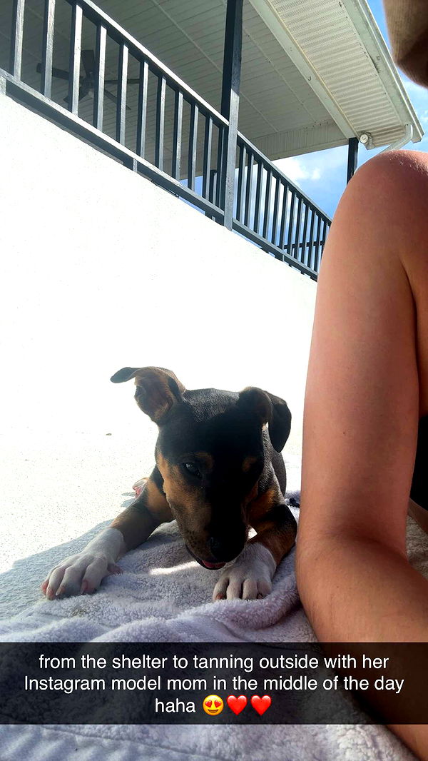 mckinley_1 image ~ Altpins