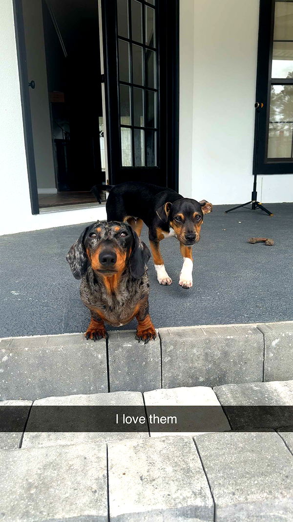 mckinley_1 image ~ Altpins