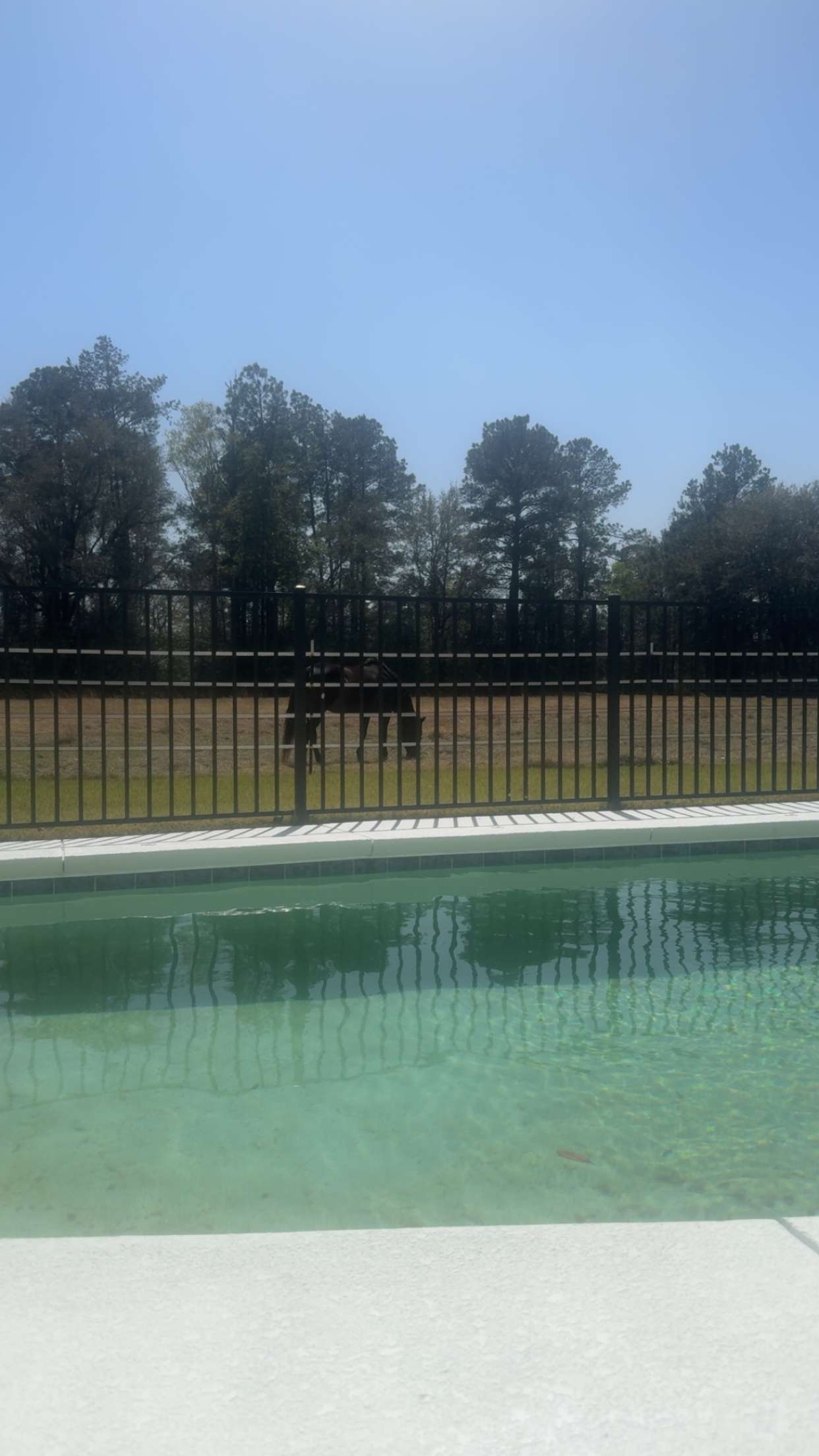 mckinley_1 snapchat image archive image