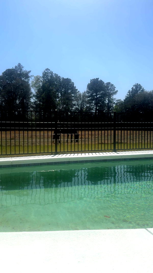 mckinley_1 image ~ Altpins