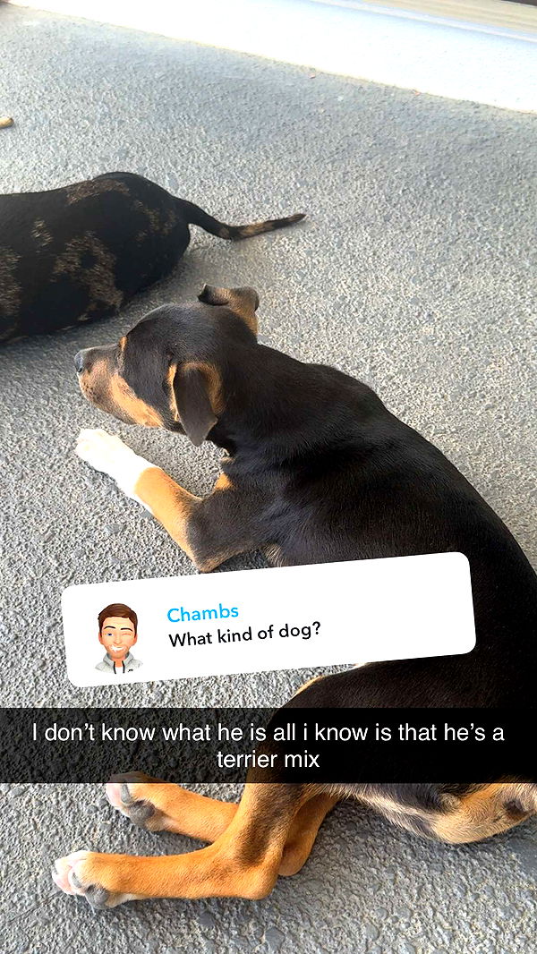 mckinley_1 image ~ Altpins