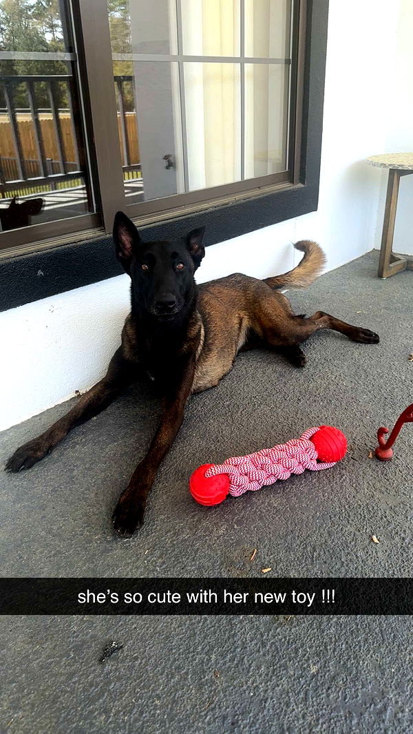 mckinley_1 image ~ Altpins