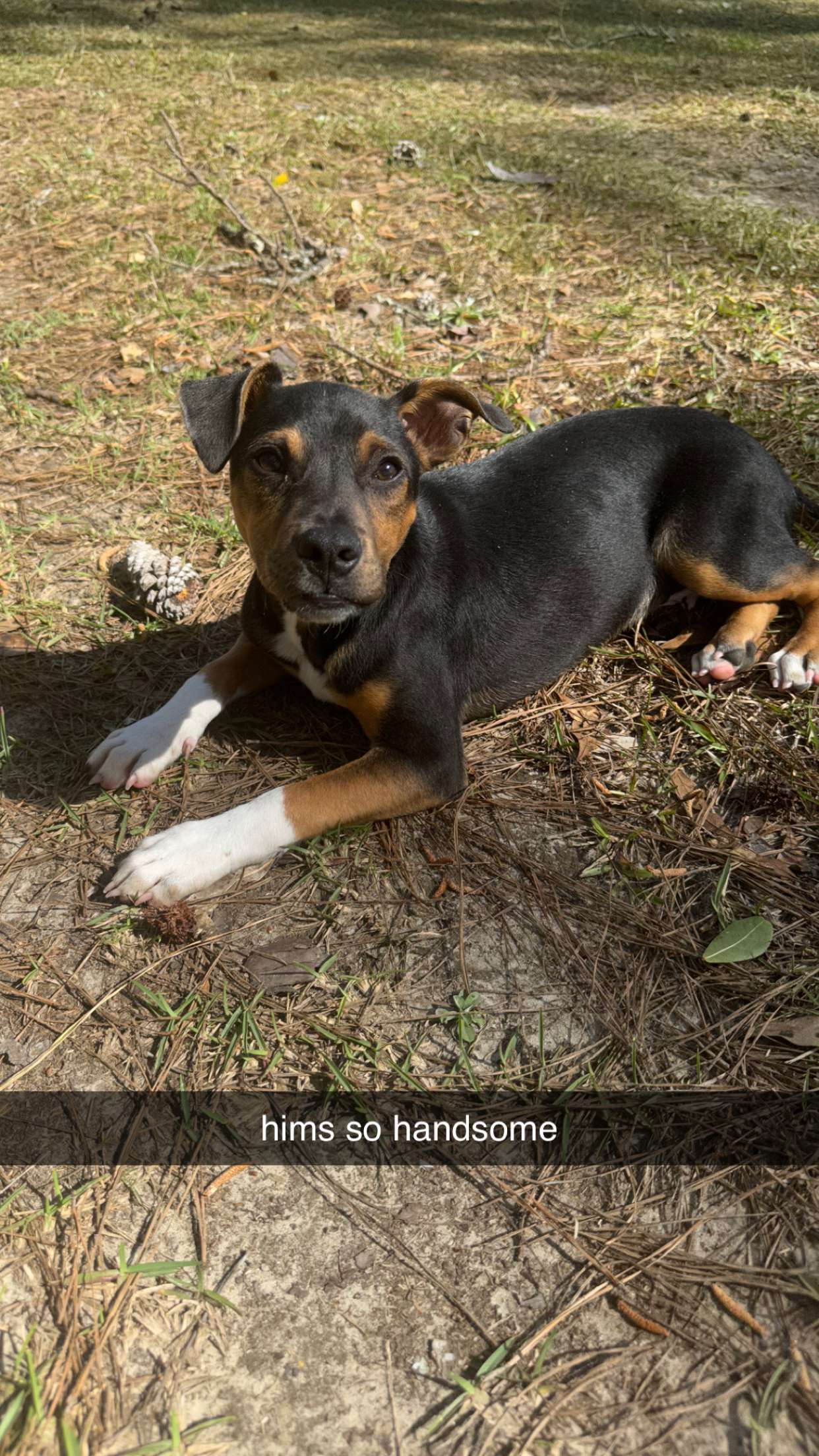 mckinley_1 snapchat image archive image