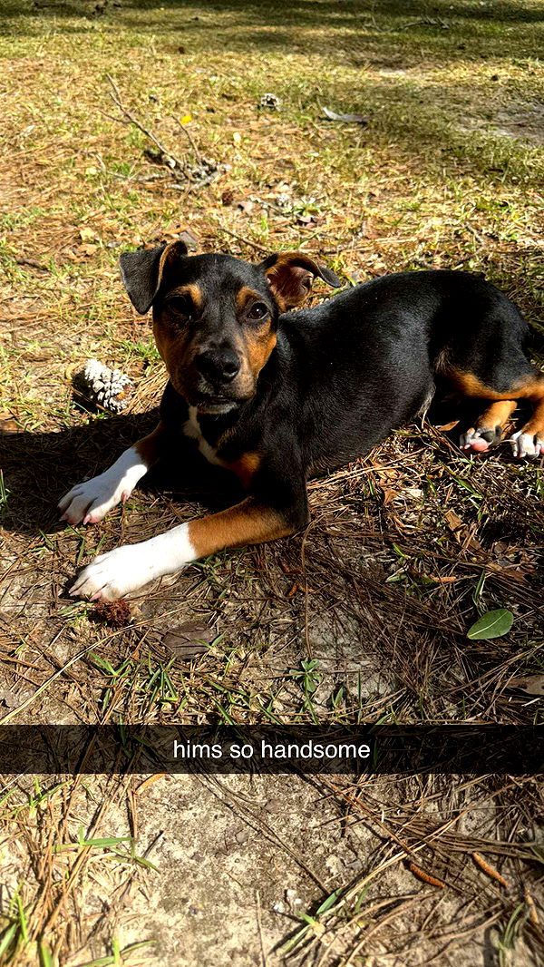 mckinley_1 image ~ Altpins