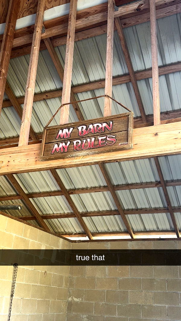 mckinley_1 image ~ Altpins