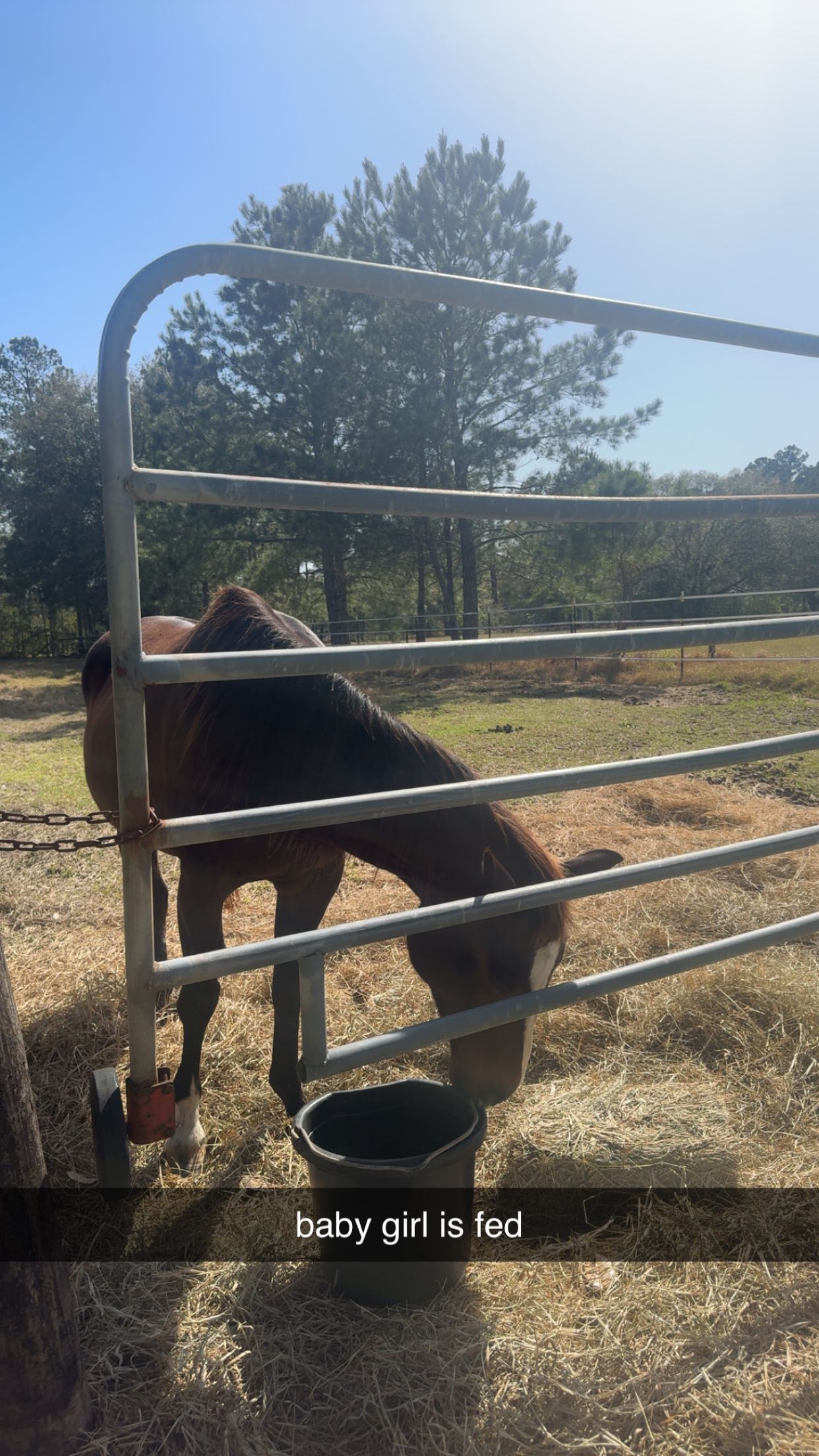 mckinley_1 snapchat image archive image