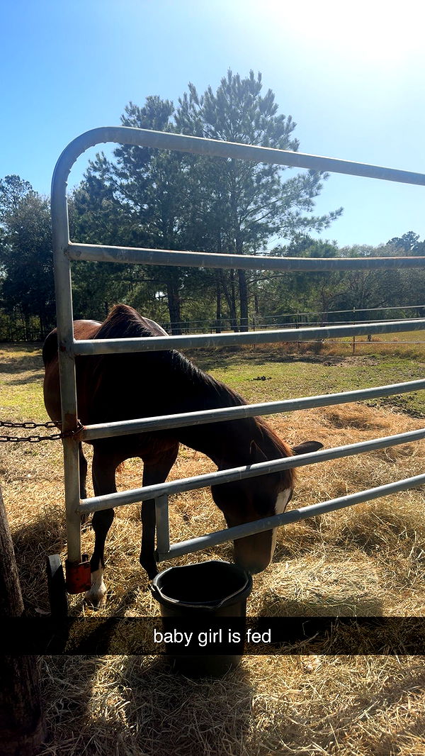 mckinley_1 image ~ Altpins