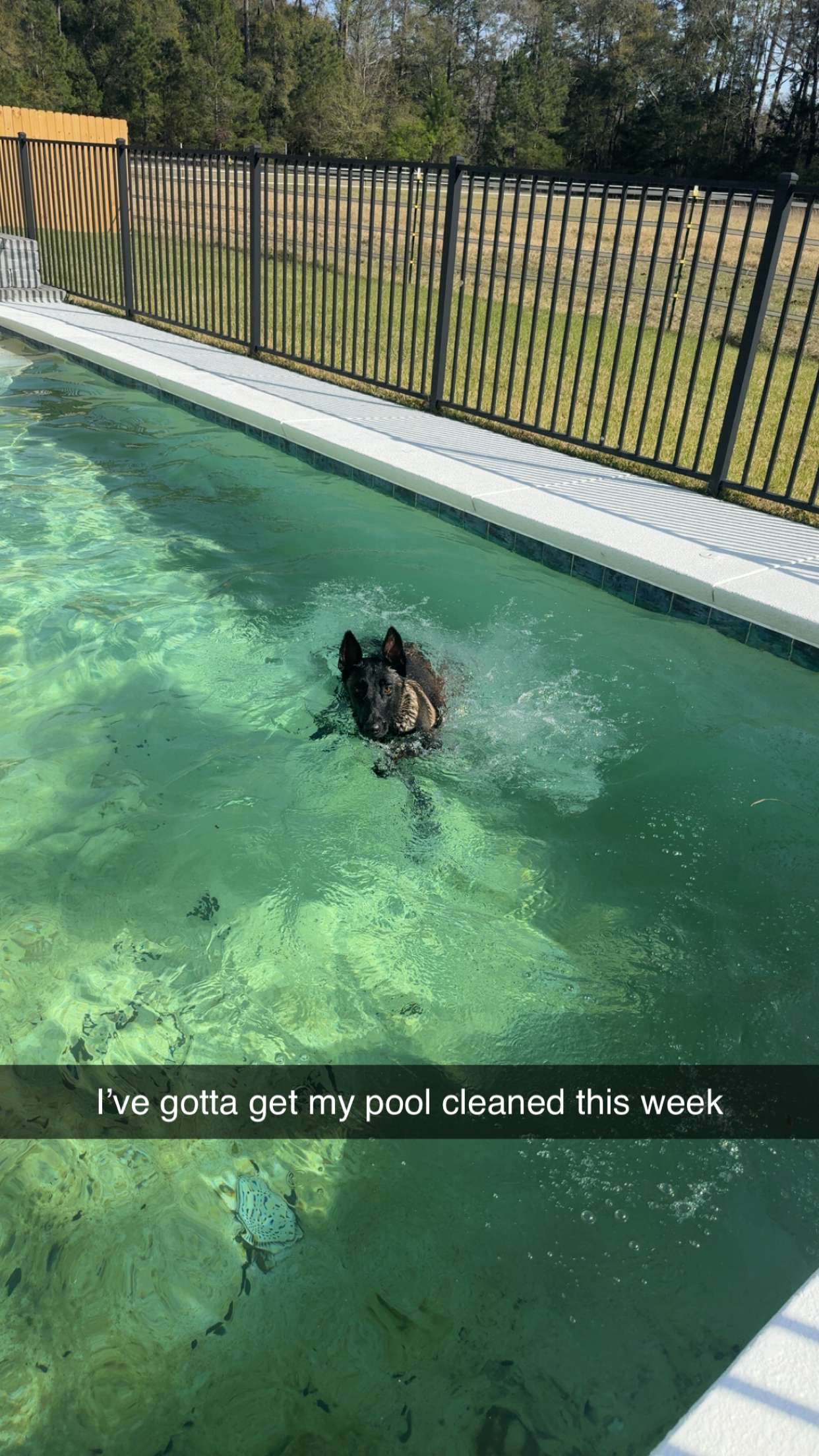 mckinley_1 snapchat image archive image