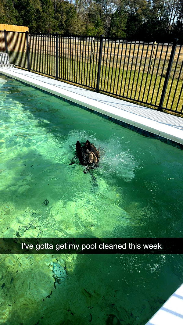 mckinley_1 image ~ Altpins