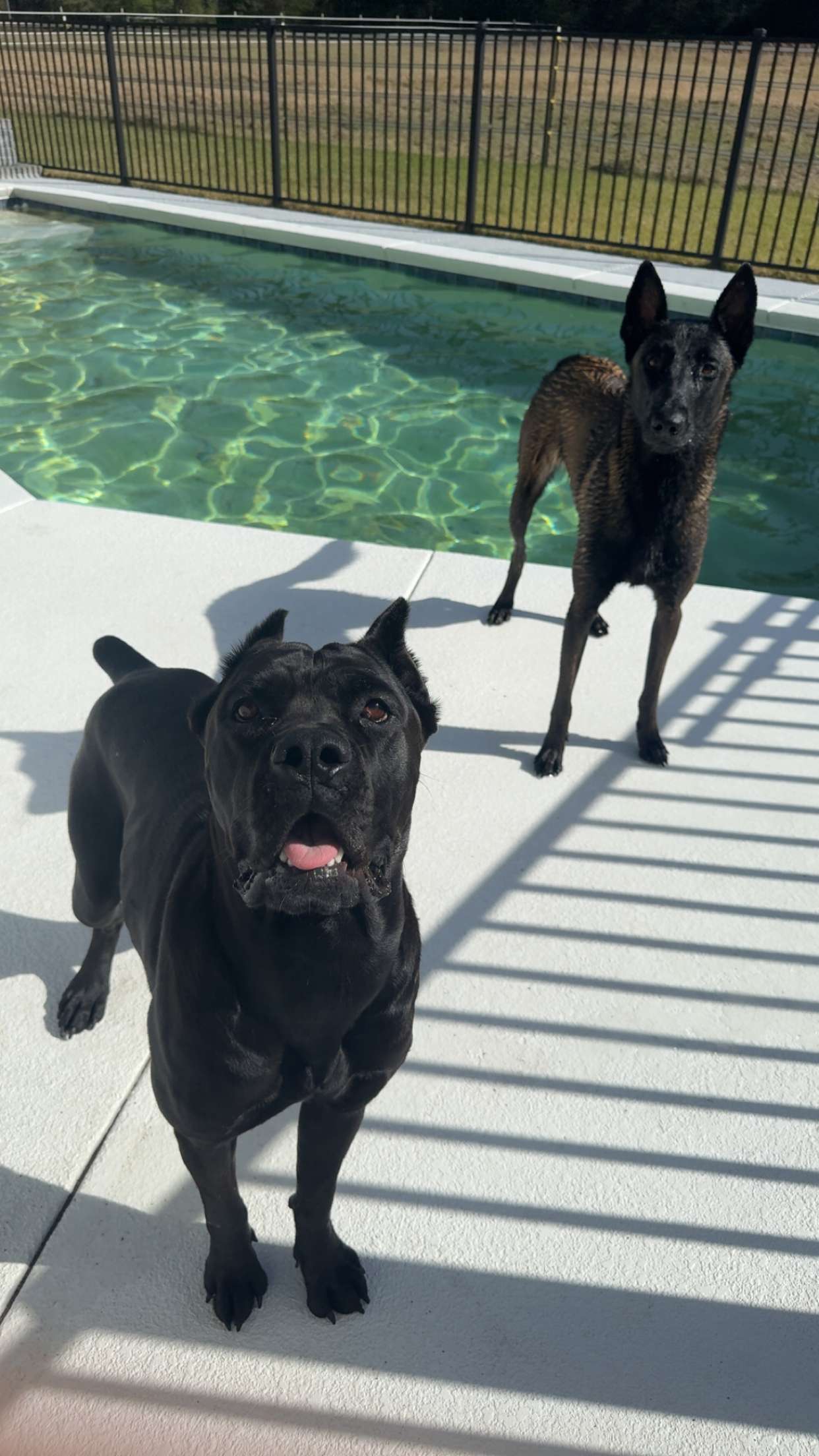 mckinley_1 snapchat image archive image