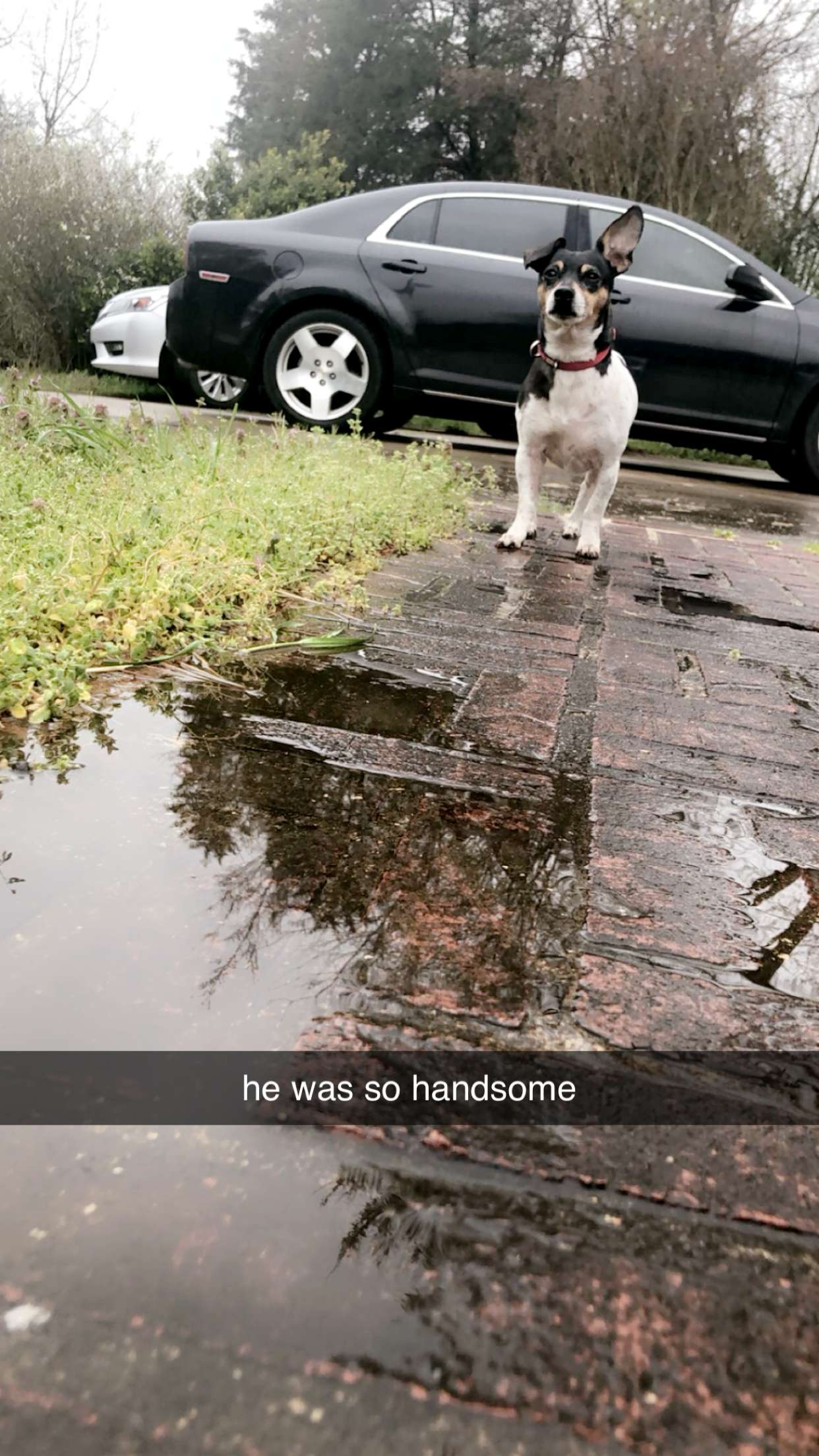 mckinley_1 snapchat image archive image