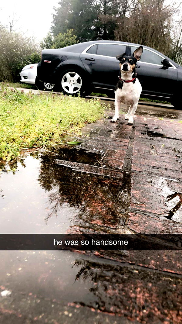 mckinley_1 image ~ Altpins