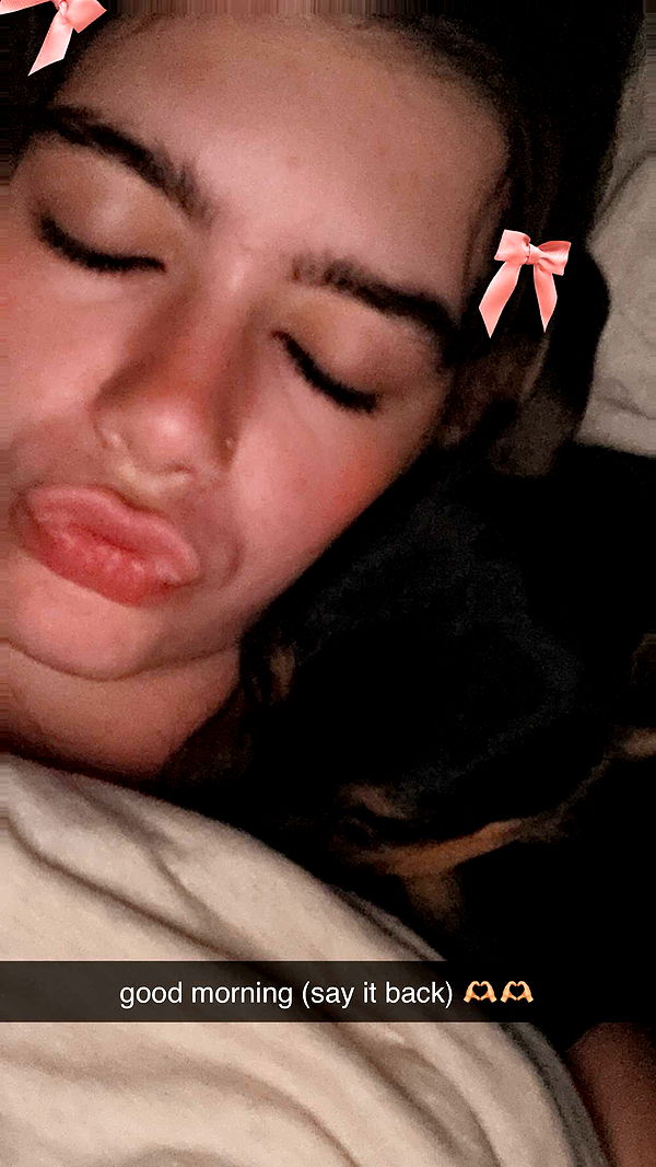 mckinley_1 image ~ Altpins