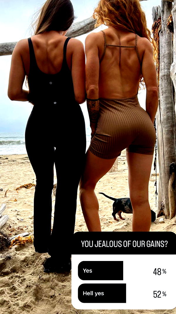 mckinley_1 image ~ Altpins