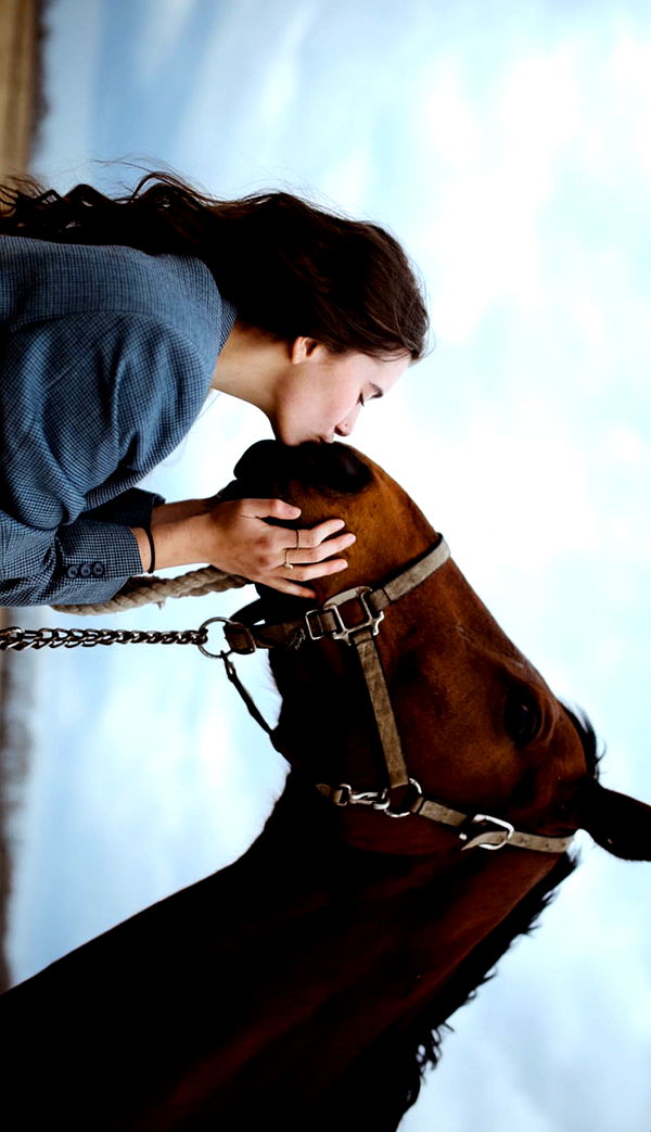 mckinley_1 image ~ Altpins