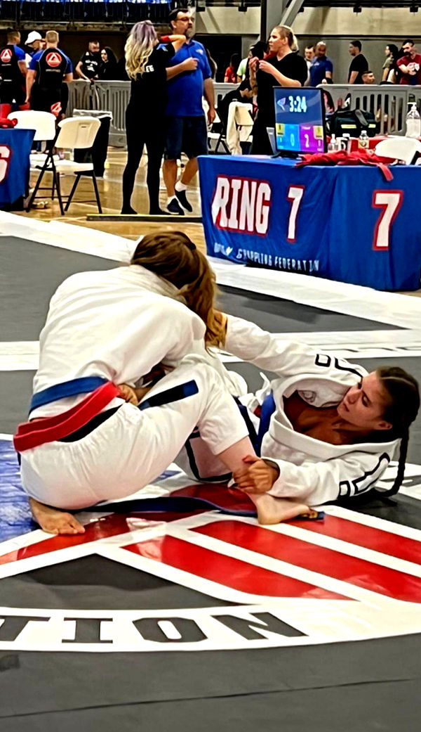 mckinley_1 image ~ Altpins