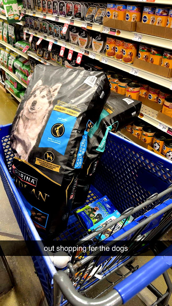 mckinley_1 image ~ Altpins