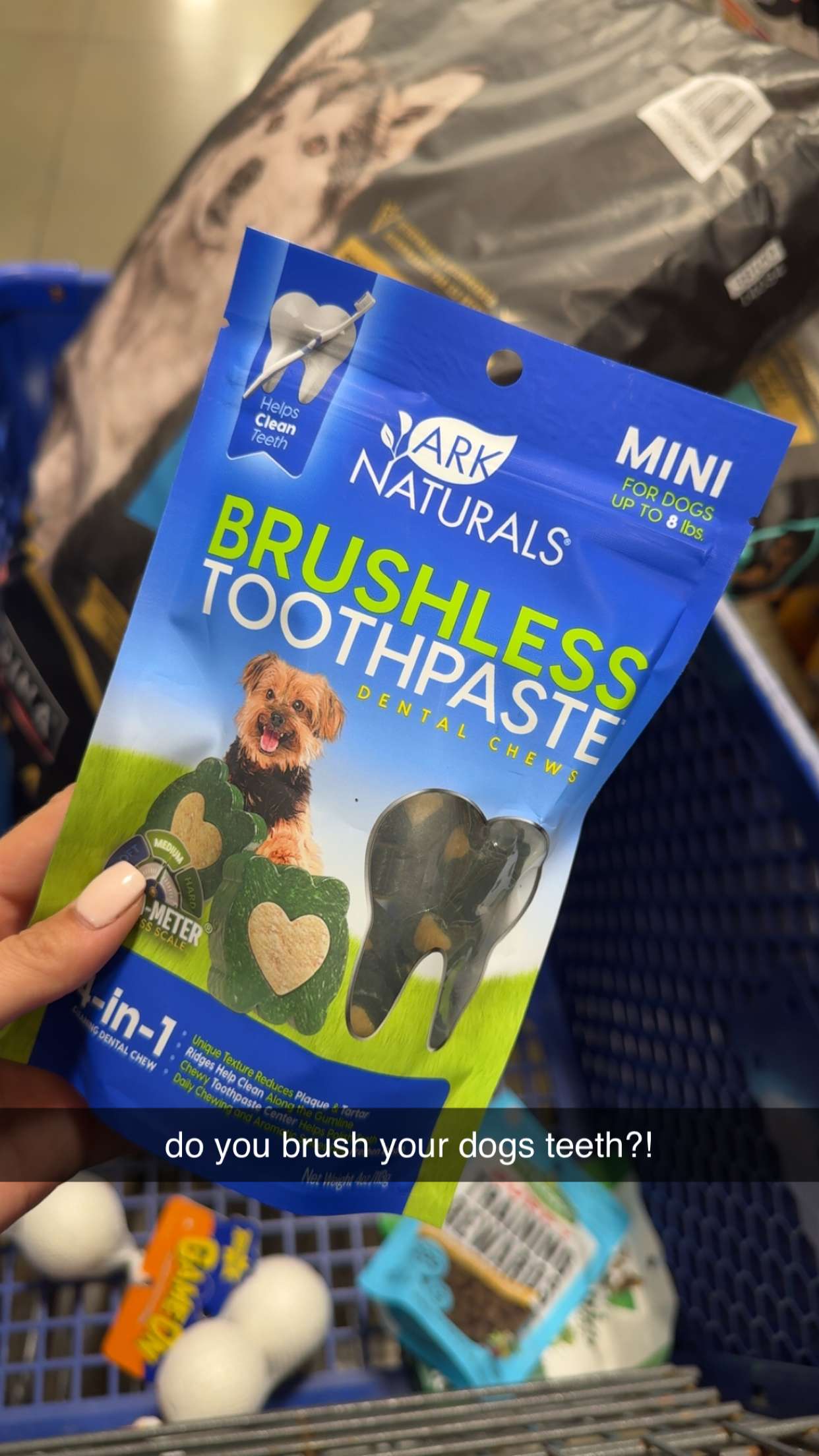 mckinley_1 snapchat image archive image