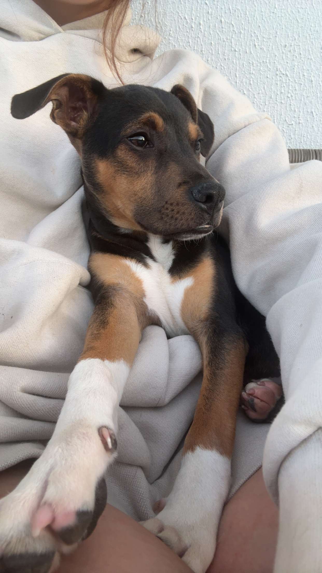 mckinley_1 snapchat image archive image